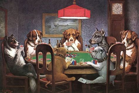 poker dog